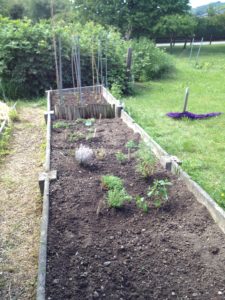 Les voisines potagères du fond: bienvenue les tomates ...