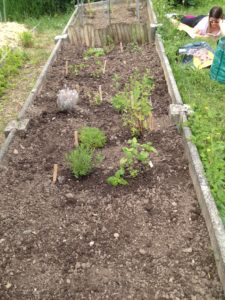 Les diverses occupations au jardin ;-)