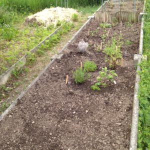 Tout le monde va bien :-)