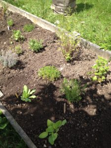 La cohabitation entre ces Simples a l'air de bien se passer.