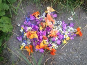 Cueillette colorée du 10.7.16