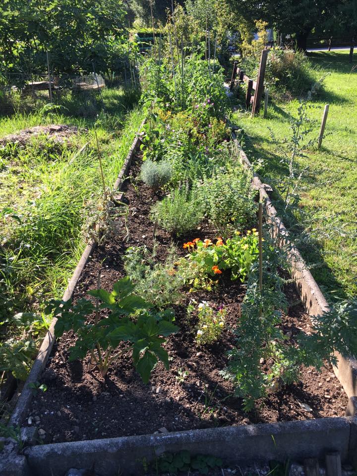 Le jardin se porte à merveille