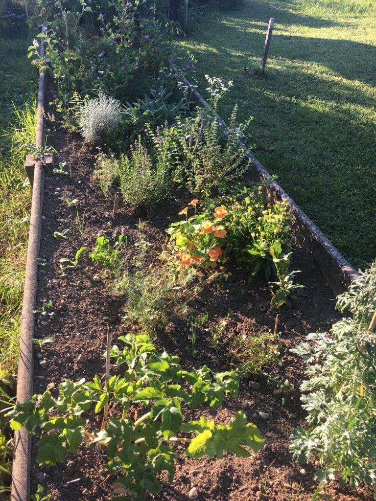 Lumière d'un soir d'été 