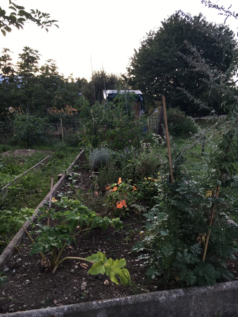 L'automne fait son entrée