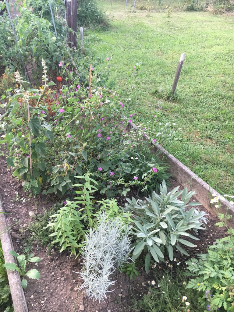 L'automne fait son entrée