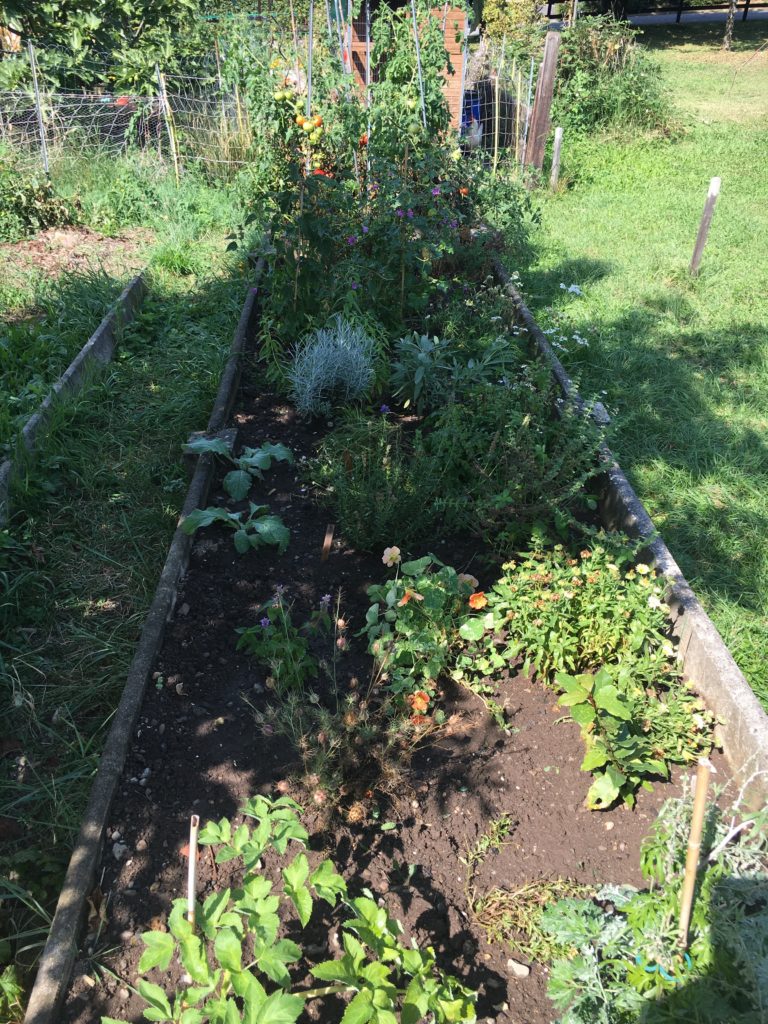 Une brise légère, un presque rien, l'automne fait son entrée ...