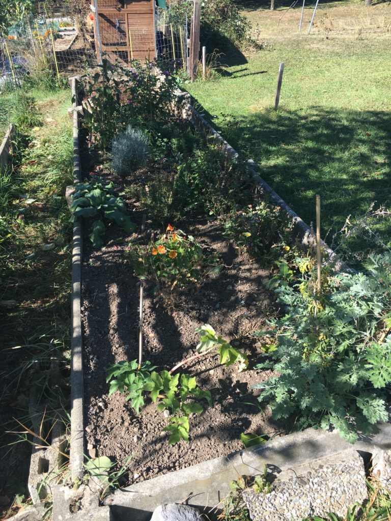 La belle énergie du jardin en cette pleine lune d'octobre