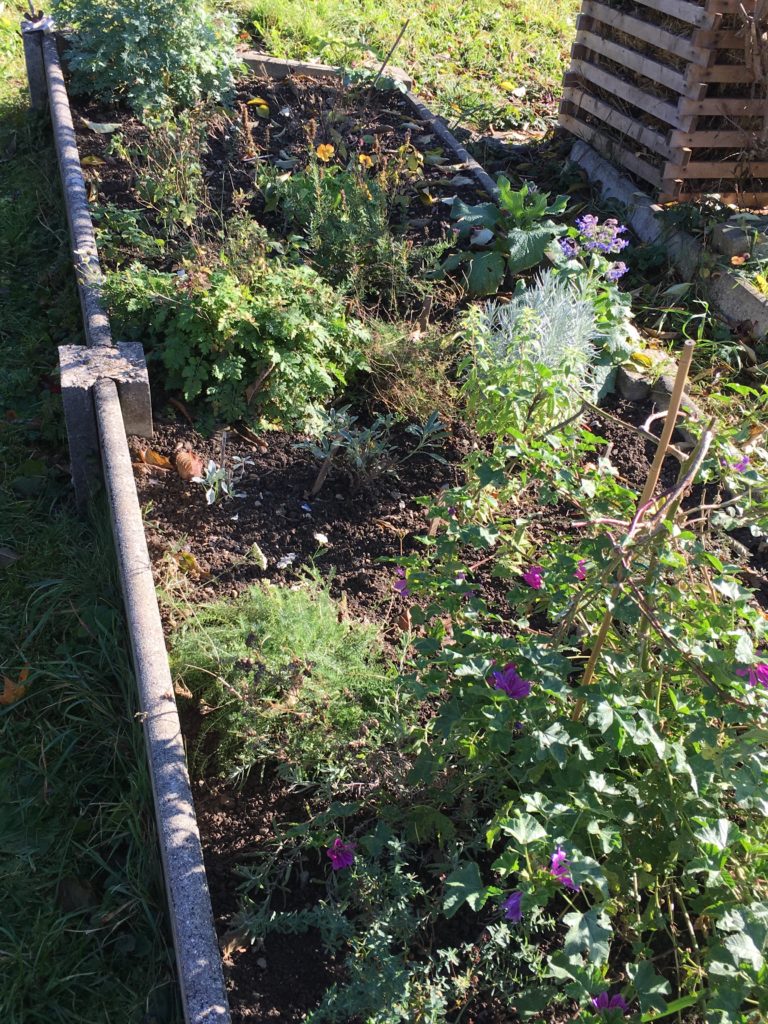 Encore est-il temps pour le jardin de s'épanouir