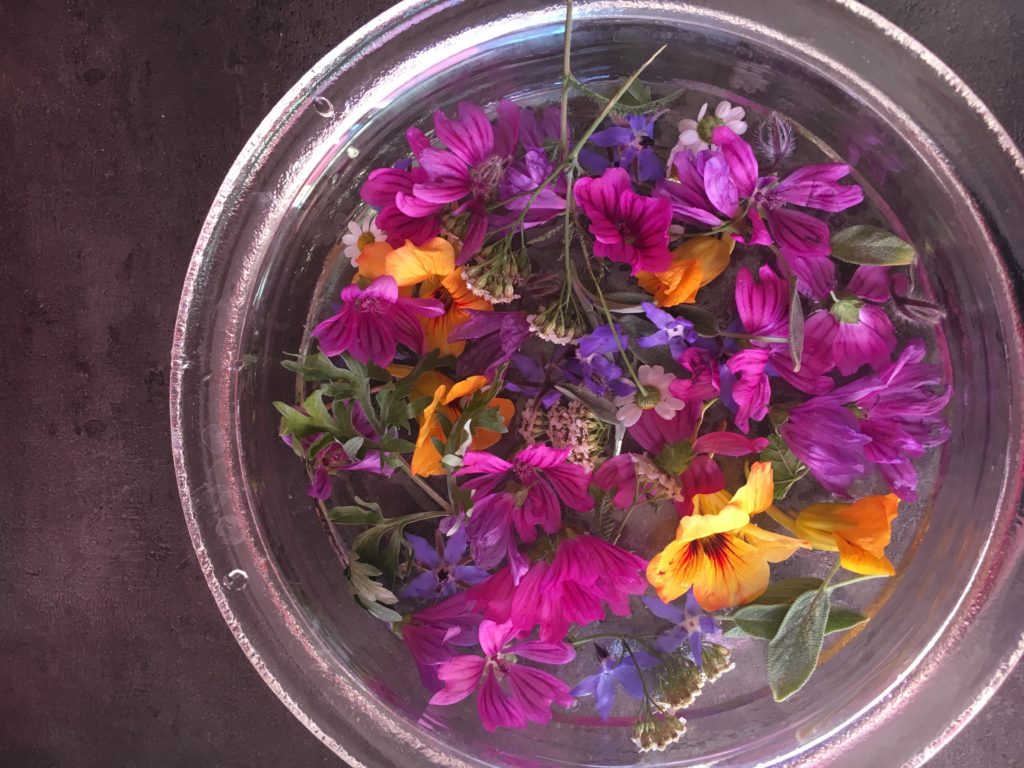 Une récolte pour le coeur : des couleurs éclatantes et veloutées