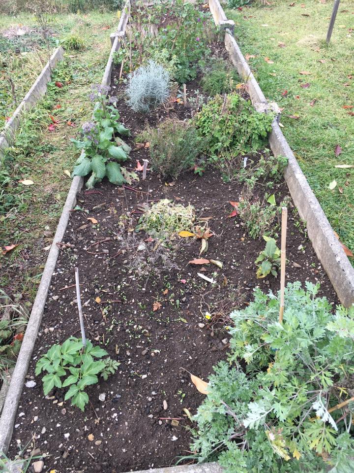 Le jardin s'endort doucement pour entrer dans l'hiver