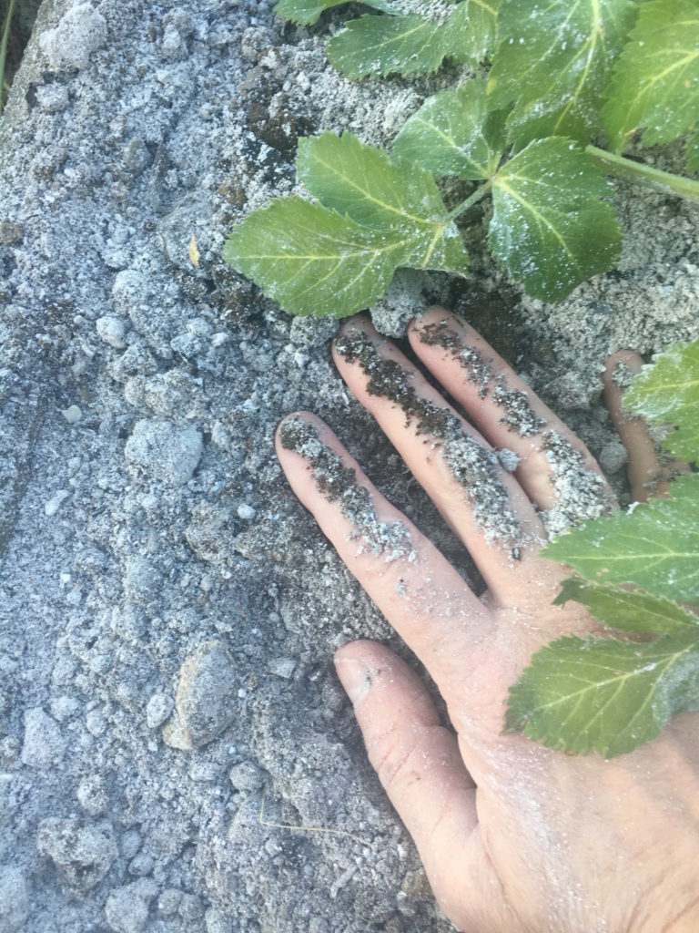 Prendre soin de l'angélique en douce connexion de pensée avec une amie dans la détresse