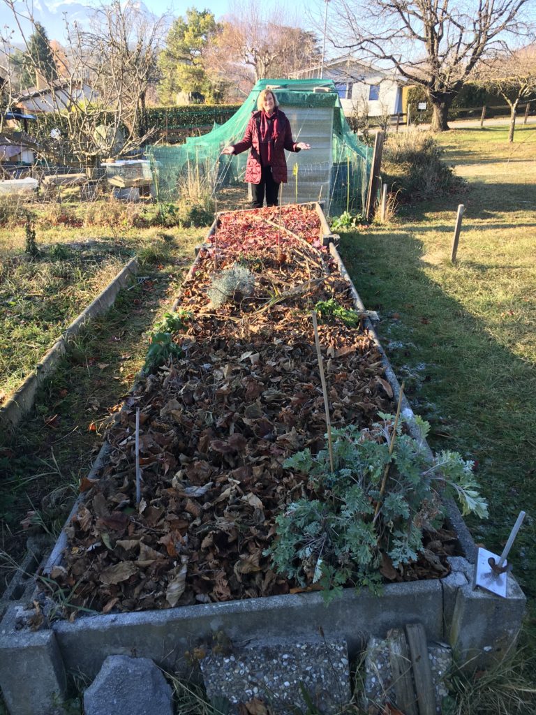 Je vous présente mon jardin qui part en hivernation