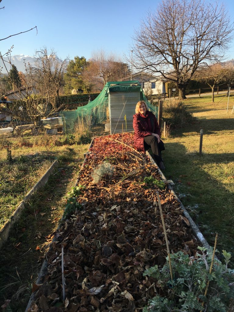 La gratitude d'avoir fait le tour d'une année à prendre soin de mon jardin médicinal