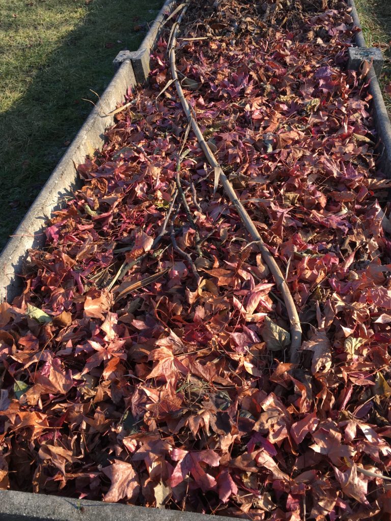 Recouvrir les feuilles de branches pour ne pas qu'elles s'envolent