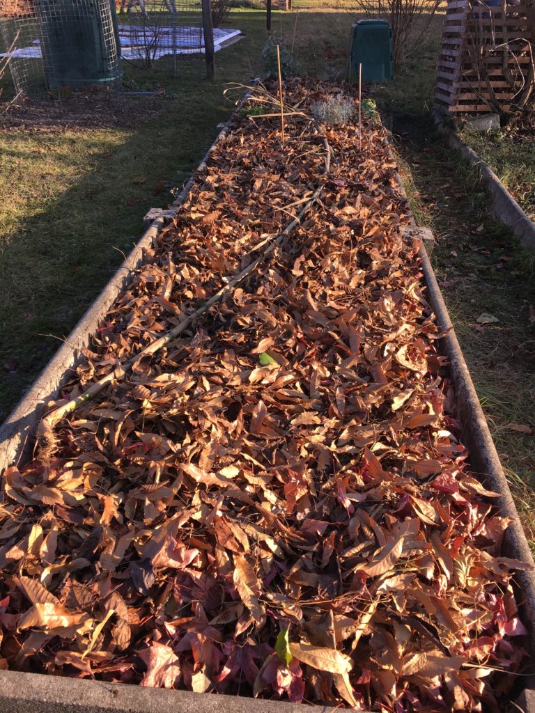 Le jardin s'illumine une dernière fois cet hiver