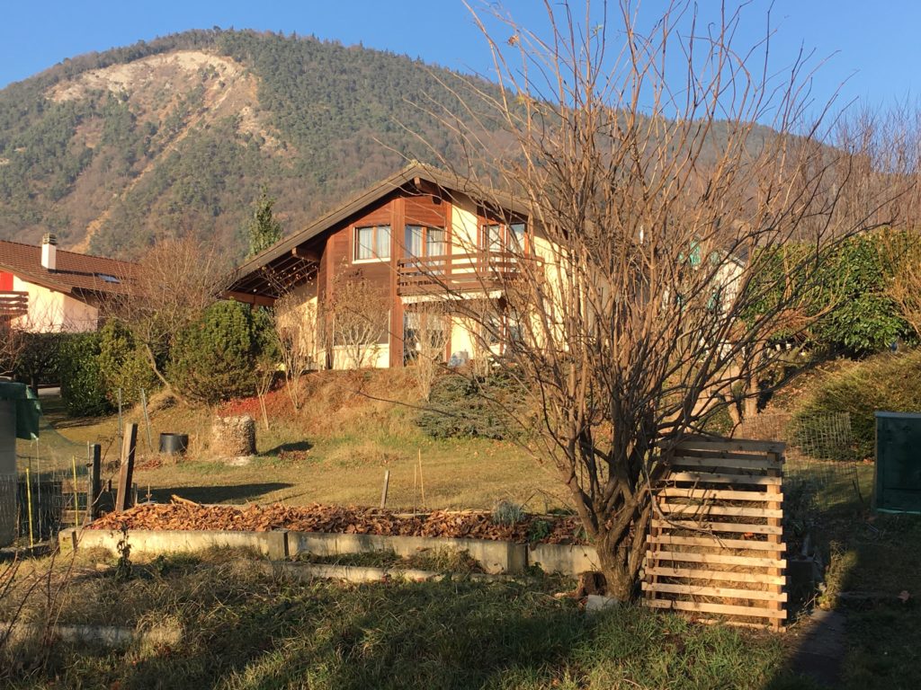 Le jardin entre dans son repos d'hiver sous le soleil