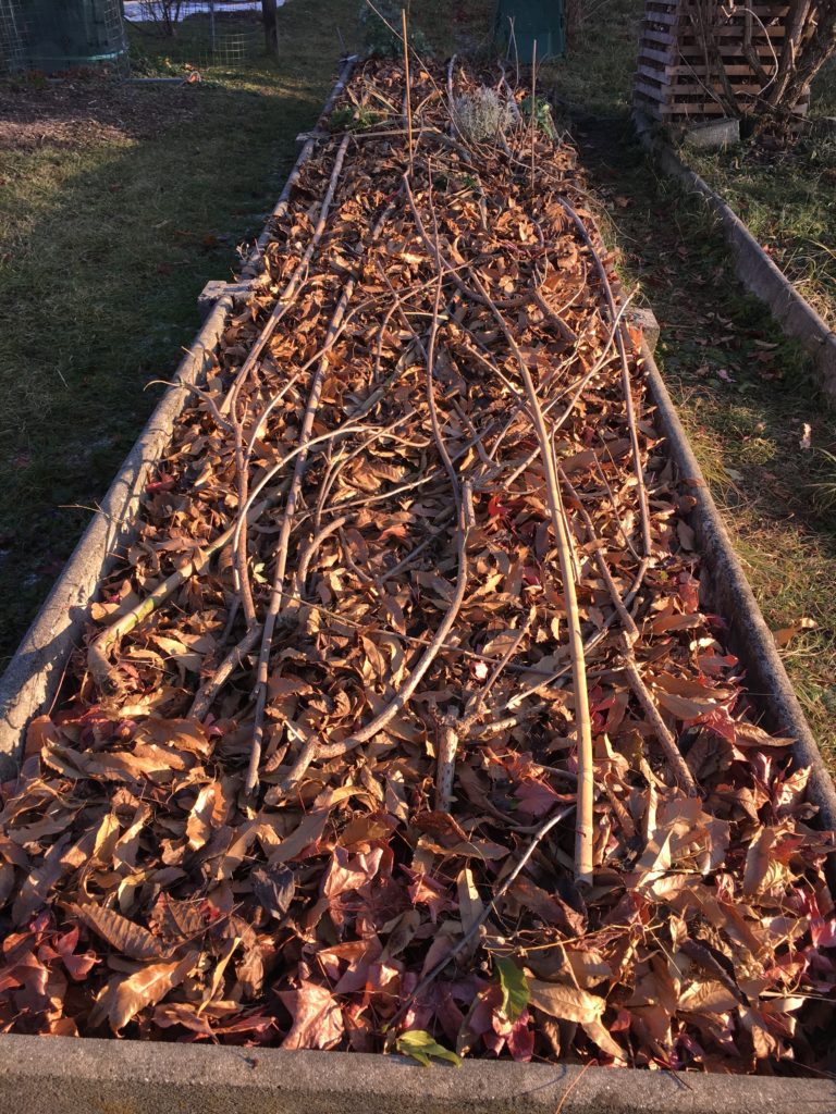 Mettre sur les feuilles toutes les branches et tiges de l'an dernier et quelques branches de sureau fraîchement coupées