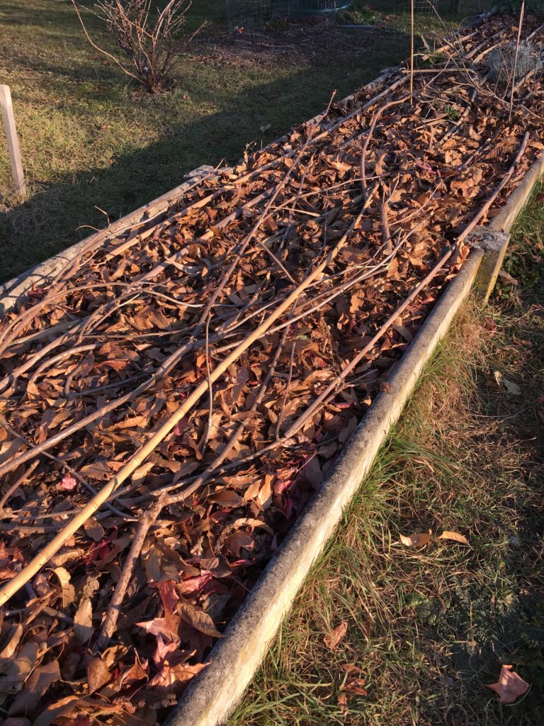 Le jardin entre en sommeil. Je le réveillerai vers la fin février 2017