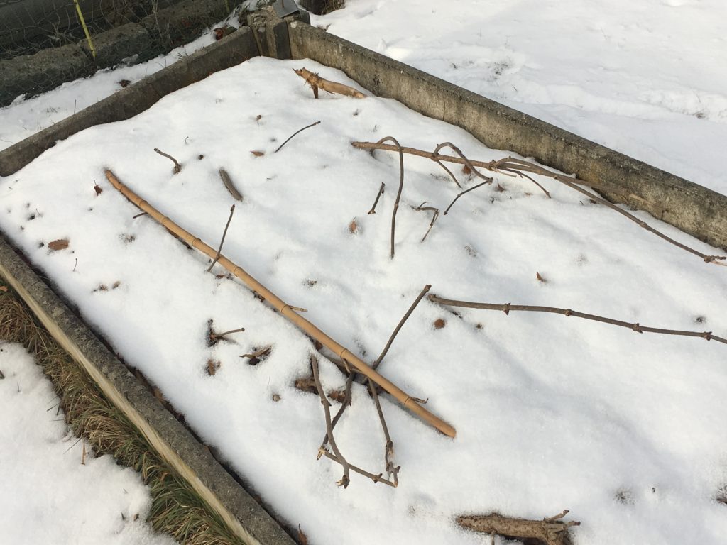 Tous les trésors de feuilles et de branches en dessous 