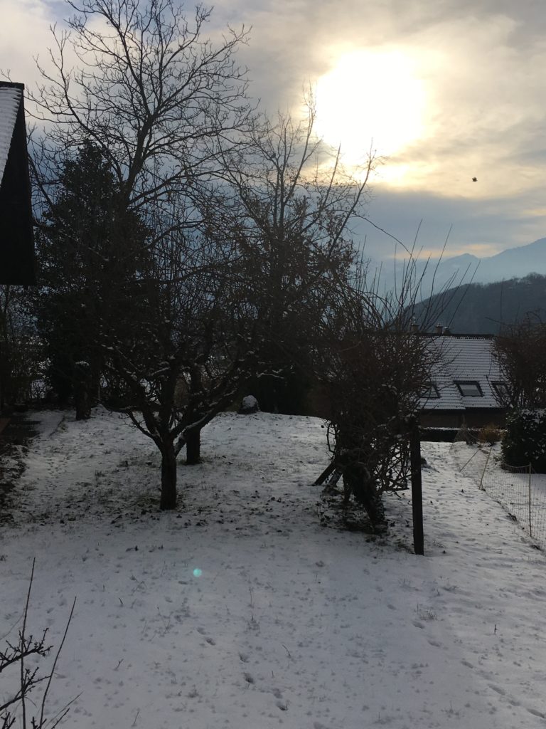 Ambiance hivernale - jardin est au repos - l'oiseau traverse